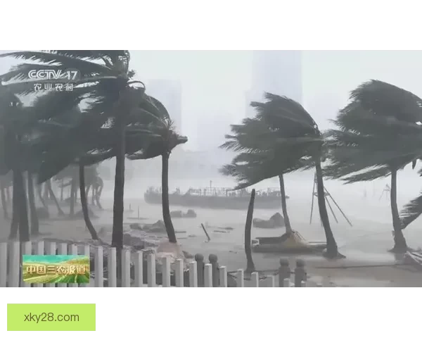 台风美今自今起三天裹挟强风雨轮侵扰上海促沿海市区绷紧防汛防风